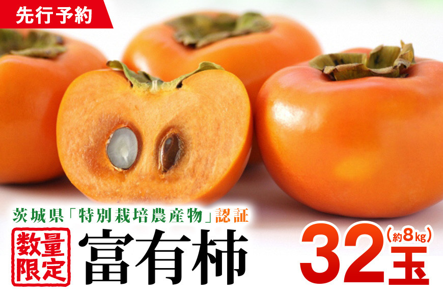 【数量限定 先行予約】富有柿 32玉 約8kg カキ かき