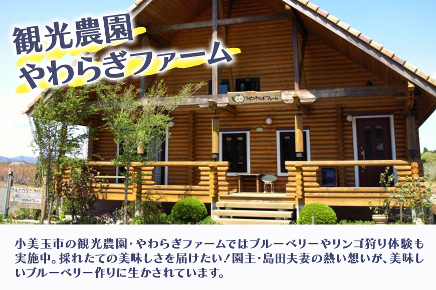 冷凍ブルーベリー (小粒) 1.1kg ブルーベリー 冷凍 国産 小分け 特別栽培 有機肥料 安心安全 フルーツ 果物 冷凍フルーツ 冷凍果物 ジャム スムージー ヨーグルト ジュース ビタミンE アントシアニン 目にいい 健康 美容 食物繊維 瞳の健康 ギフト 贈り物 茨城県産 人気 プレゼント 9-S