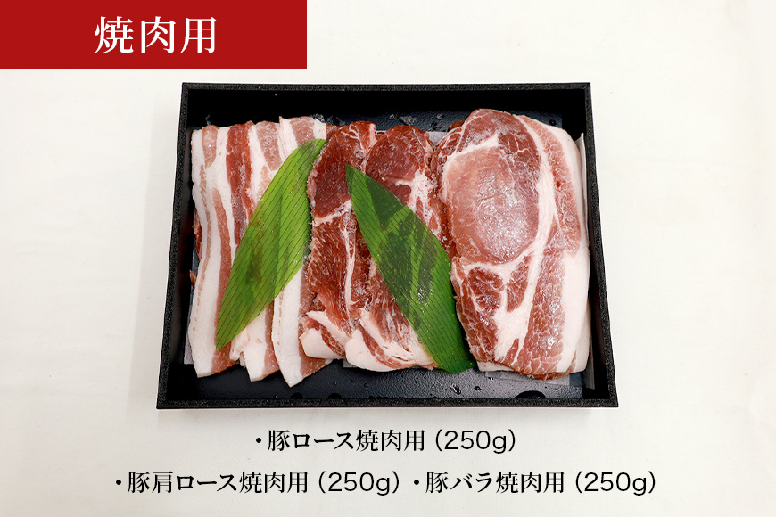 ブランド豚「ばんぶぅ」化粧箱入りギフト 2種（鍋用、焼肉用）計1.5kg 冷凍便 約1.5キロ 大容量 たっぷり 豚肉 豚ロース 豚肩ロース 豚バラ肉 豚ばら肉 スライス うす切り 薄切り 焼き肉 お鍋 ぶた肉 ブタ肉 国産 茨城県産 プレゼント 贈り物 贈答品 お祝い 42-AZ