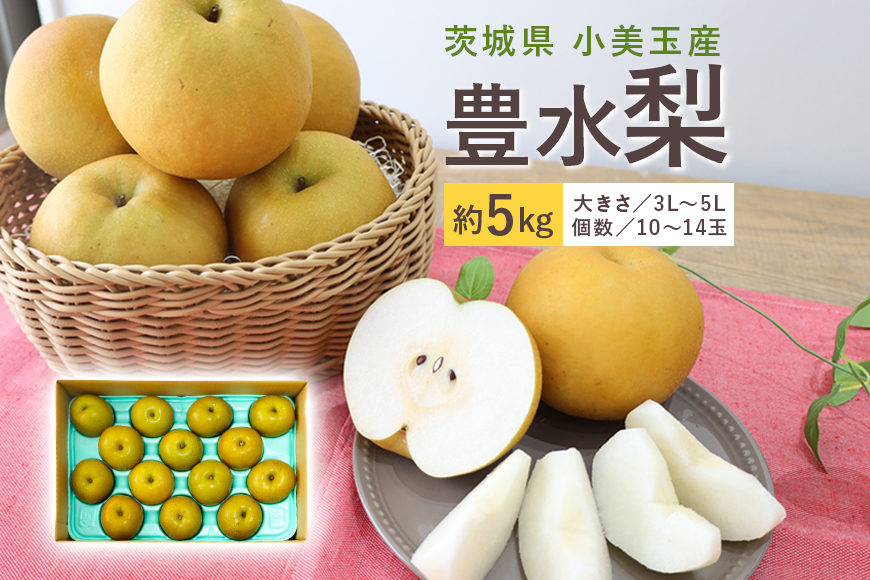 【数量限定 / 夏季限定】梨（豊水） 約5kg 梨 なし ナシ 日本梨 ほうすい ホウスイ 17-D 【8月下旬〜9月上旬発送予定】
