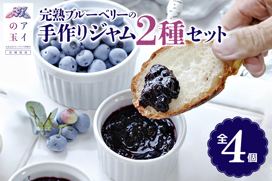 【アイの玉】完熟ブルーベリーの手作りジャム2種セット（全4個） ジャム ブルーベリー フルーツ 果物 くだもの 手作り グラニュー糖 黒糖 73-D