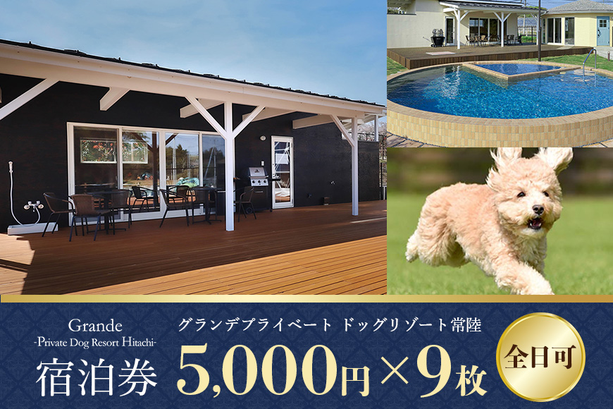 グランデ プライベート ドッグリゾート常陸宿泊券 5,000円×9枚（全日可） 愛犬 ペットOK ドッグラン プール 温泉 サウナ ホテル チケット 宿泊 旅行 宿泊券 旅行券 72-I