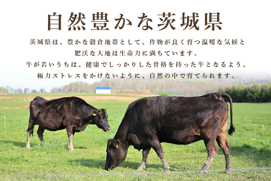 【1年定期便】 常陸牛 年間定期便 すき焼き すき焼 しゃぶしゃぶ ハンバーグ サーロインステーキ ローストビーフ 焼き肉セット 焼肉 ランプステーキ A5ランク 和牛 黒毛和牛 【茨城県共通返礼品】 58-D