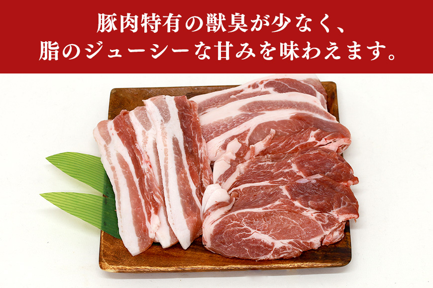 ブランド豚「ばんぶぅ」化粧箱入りギフト 焼肉用 750g 冷凍便 750グラム 豚肉 豚ロース 豚肩ロース 豚バラ肉 豚ばら肉 スライス うす切り 薄切り 焼き肉 ぶた肉 ブタ肉 国産 茨城県産 プレゼント 贈り物 贈答品 お祝い 42-BB