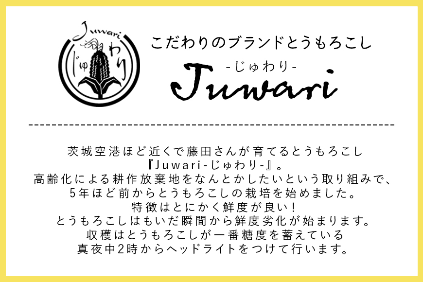 【３回定期便】【Juwari-じゅわり-】お楽しみとうもろこし　4kg以上 41-G