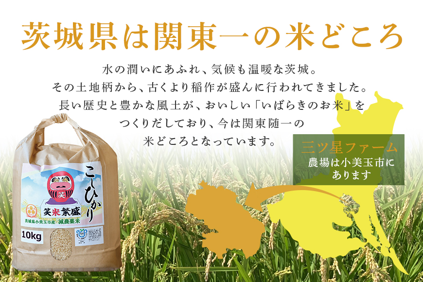 【笑米繁盛】 食べ比べ 10kg （ゆうだい21・こしひかり） ゆうだい21 こしひかり 各5kg 数量限定 コシヒカリ 米 白米 茨城県産 お弁当 おにぎり エコ 食べくらべ 詰め合わせ セット 53-E