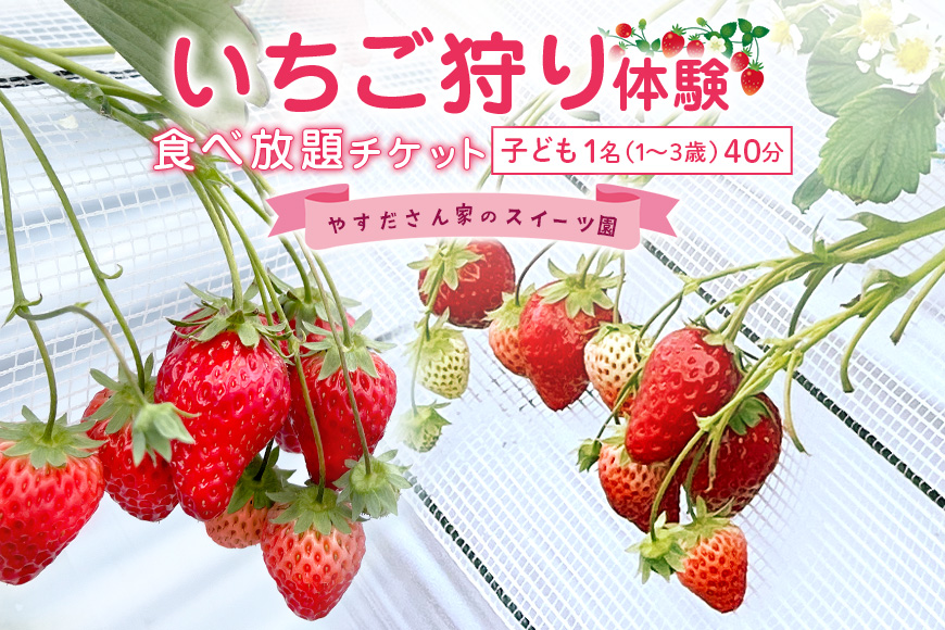 やすださん家のスイーツ園 いちご食べ放題 子ども1名（1〜3歳）40分食べ放題チケット イチゴ 苺 いちご いちご狩り 食べ放題 フルーツ 果物 フルーツ狩り チケット 体験 茨城県 楽しい 季節 農園 果物狩り 味覚狩り 19-AI