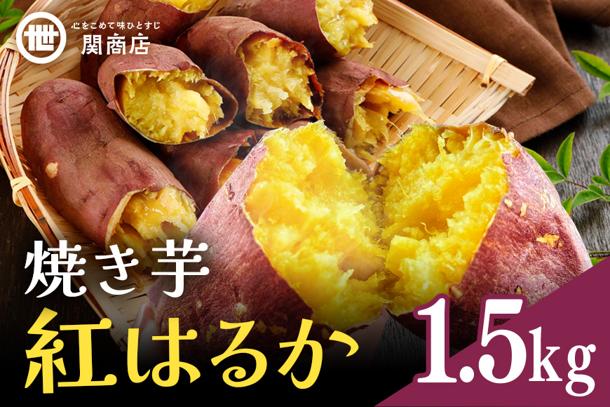 【期間限定】 関商店 焼き芋 紅はるか 1.5kg 国産 茨城県産 砂糖不使用 焼き芋 やきいも 焼芋 焼きいも べにはるか ベニハルカ 甘い 柔らかい 安心 安全 品質 食味 おやつ 62-G