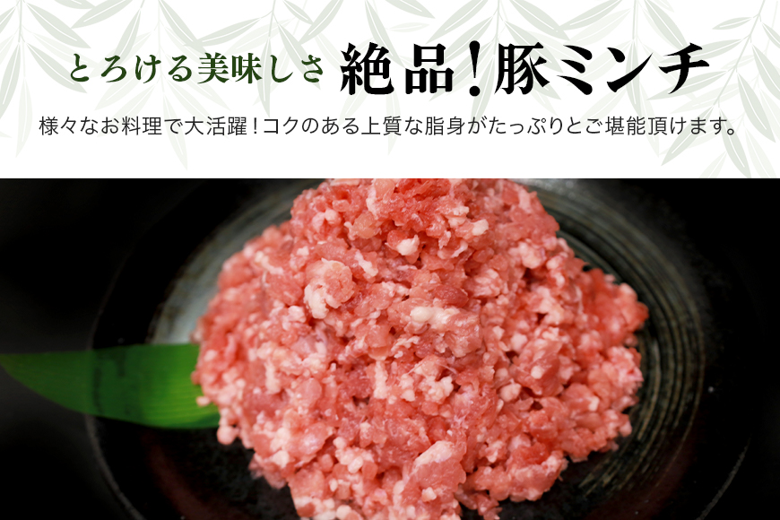 ブランド豚「ばんぶぅ」小分け ミンチ 1kg（500g×2パック） 冷凍便 1キロ 大容量 たっぷり 豚肉 豚ミンチ 豚ひき肉 豚挽き肉 豚挽肉 キーマカレー ミンチカツ メンチカツ ハンバーグ 餃子 ギョウザ ぎょうざ シュウマイ 肉団子 ミートボール 麻婆 マーボー ぶた肉 ブタ肉 国産 茨城県産 ギフト プレゼント お祝い ご褒美 42-AQ