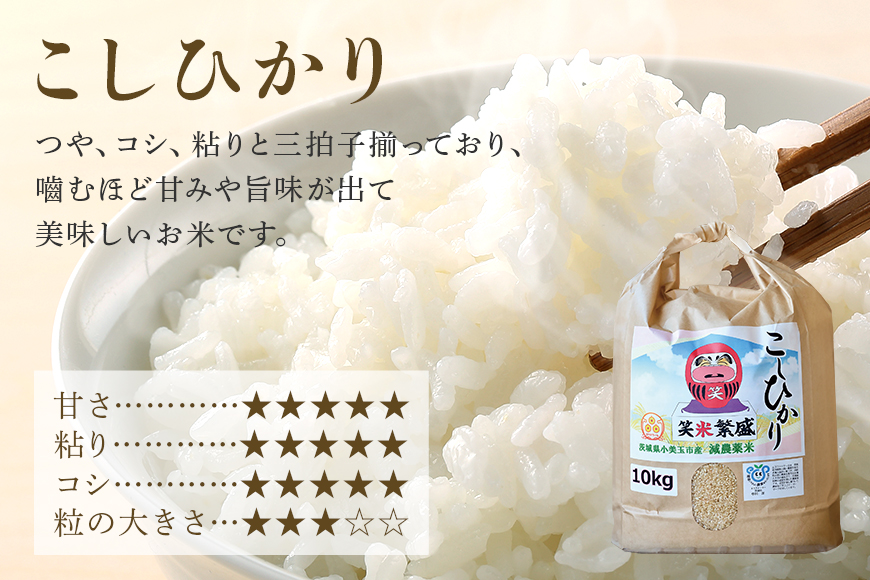 【笑米繁盛】 食べ比べ 10kg （ゆうだい21・こしひかり） ゆうだい21 こしひかり 各5kg 数量限定 コシヒカリ 米 白米 茨城県産 お弁当 おにぎり エコ 食べくらべ 詰め合わせ セット 53-E