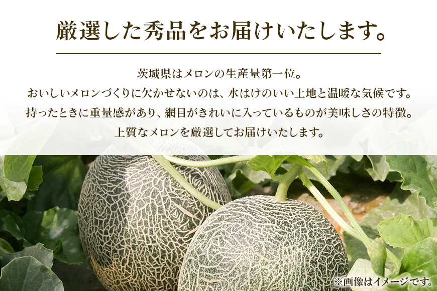 【数量限定・期間限定】おみたまレノンメロン（赤肉）約5kg（4玉～5玉） 52-A