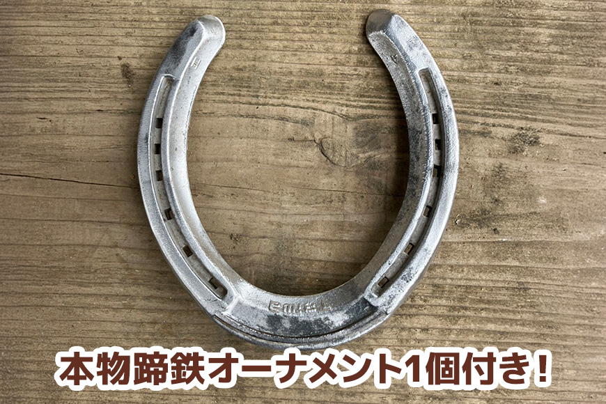 ★ROCKY★ 乗馬体験チケット＆本物蹄鉄オーナメント 体験 チケット 券 乗馬 本物 蹄鉄 オーナメント 馬 うま ウマ 蹄 アクセサリー 子供 大人 初心者 経験者 歓迎 92-C