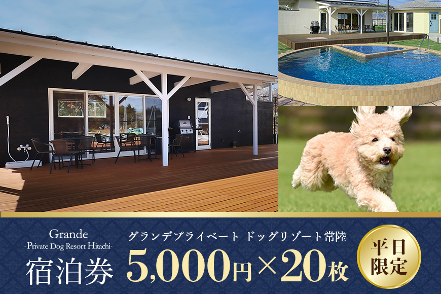 グランデ プライベート ドッグリゾート常陸宿泊券 5,000円×20枚（平日限定） 愛犬 ペットOK ドッグラン プール 温泉 サウナ ホテル チケット 宿泊 旅行 宿泊券 旅行券 72-E