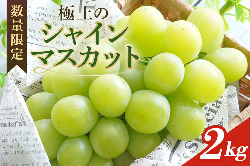 ＜2025年 先行予約＞ シャインマスカット 数量限定 2kg 農園直送 期間限定 果物 フルーツ ブドウ 葡萄 ぶどう 8月下旬以降発送 冷蔵 小美玉市 70-J