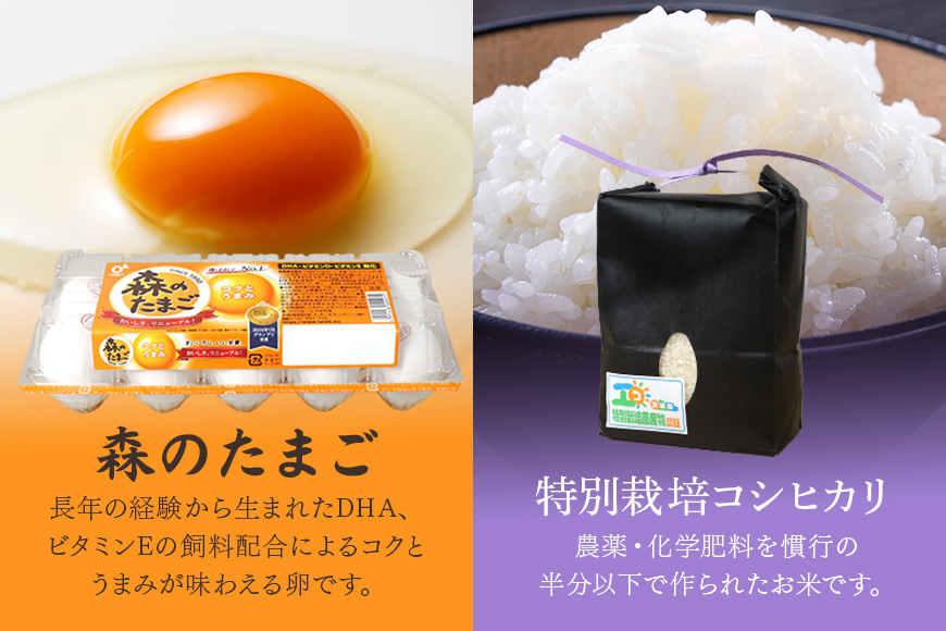 小美玉手箱10 充実の朝ごはんセット スタンダード（鶏卵・コシヒカリ・納豆のセット） 詰め合わせ 食べくらべ 食べ比べ お米 コシヒカリ こしひかり 特別栽培米 ごはん 森のたまご 卵 納豆 おかめ納豆 大粒 小粒 バラエティセット 納豆菌 茨城県産 国産 朝食 朝ご飯 タンパク質 たんぱく質 限定品 0-A