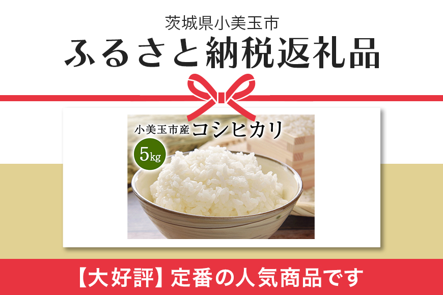 令和6年産 特別栽培米コシヒカリ 5kg こしひかり お米 白米 リピーター続出 特別栽培 天然肥料 茨城県 小美玉市 14-C