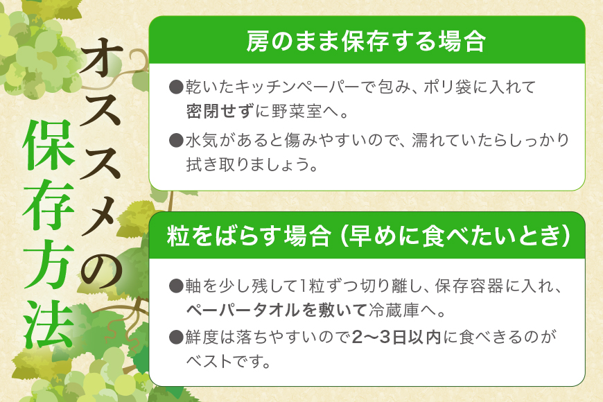 ＜2025年 先行予約＞ シャインマスカット 数量限定 3kg 農園直送 期間限定 果物 フルーツ ブドウ 葡萄 ぶどう 8月下旬以降発送 冷蔵 小美玉市 70-K