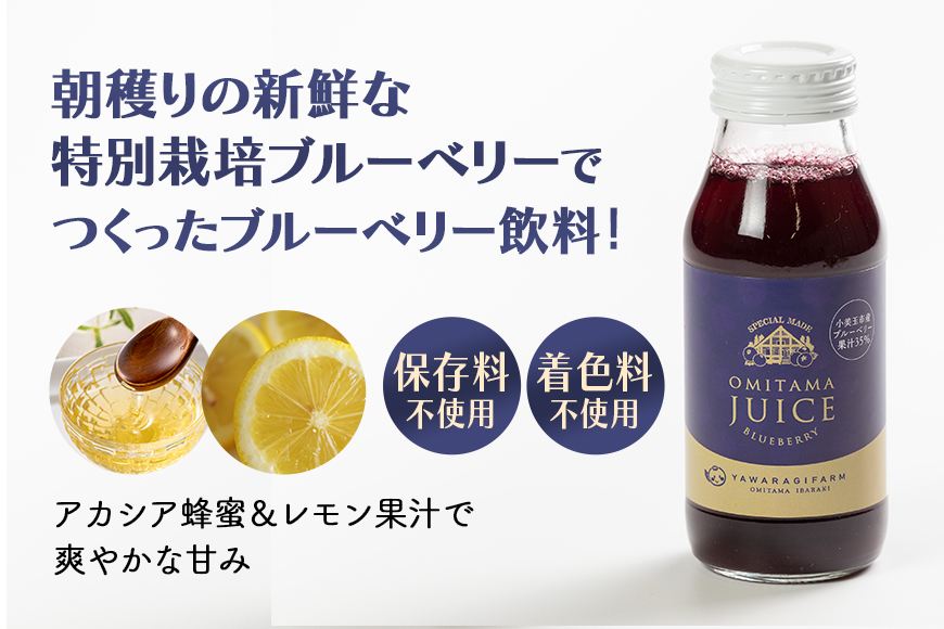 果汁35％ブルーベリー飲料24本セット（180ml×24） 国産 茨城県産 ブルーベリー 特別栽培 無添加 ブルーベリージュース ジュース ギフト 朝どれ 朝採り  フルーツ ドリンク 栄養 健康 美容 贈り物 お見舞い 詰め合わせ ９-Ｏ