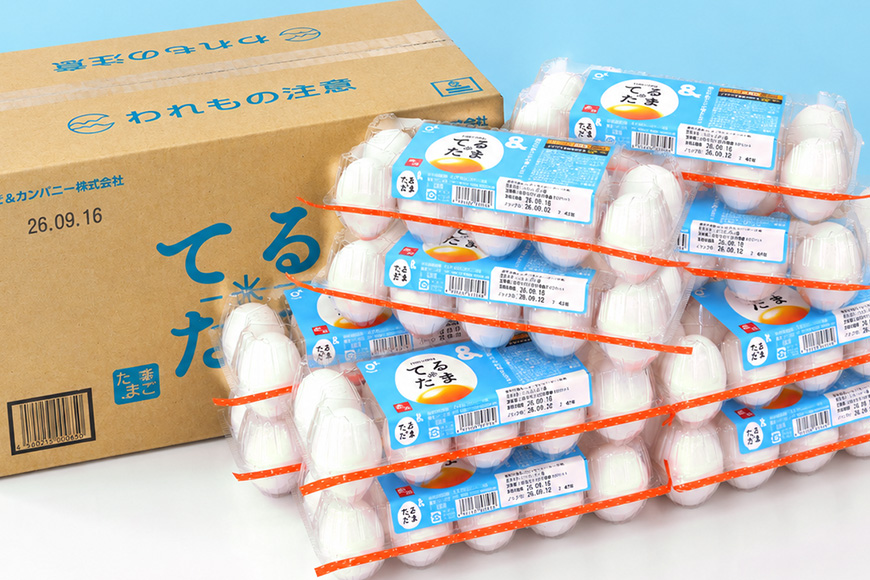 6か月定期 てるたま 10個入×11パック（割れ保障1パックサービス）てるたま 新鮮 鶏卵 玉子 卵かけご飯 卵かけごはん たまごかけご飯 卵焼き たまご焼き 玉子焼き 目玉焼き ゆで卵 栄養 22-L