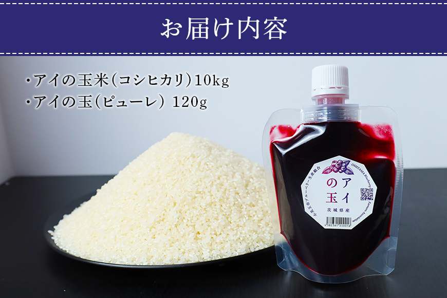 【数量限定・期間限定】 アイの玉米 コシヒカリ10kg ブルーベリーピューレ付き 令和6年産 新米 こしひかり コシヒカリ 米 白米 ブルーベリー ピューレ フルーツ 果物 くだもの 手作り お弁当 おにぎり 茨城県産 73-I