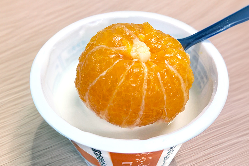 【3回定期便】まるごとみかんヨーグルト 100g×10個 ヨーグルト みかん まるごと 定期便 朝食 朝ごはん 朝活 乳製品 低糖 低カロリー ギフト 誕生日 内祝い スイーツ 腸活 善玉菌 善玉菌ケア 菌活 乳酸菌 1-T