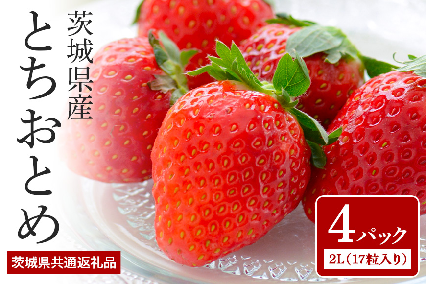 【数量限定・先行予約】とちおとめ 2L（17粒入り）×4パック 1kg以上 いちご イチゴ 苺 フルーツ 果物 くだもの 国産 茨城県産 高糖度 甘い ＜2026年1月中旬～3月上旬発送予定＞ （茨城県共通返礼品 石岡市） 71-D