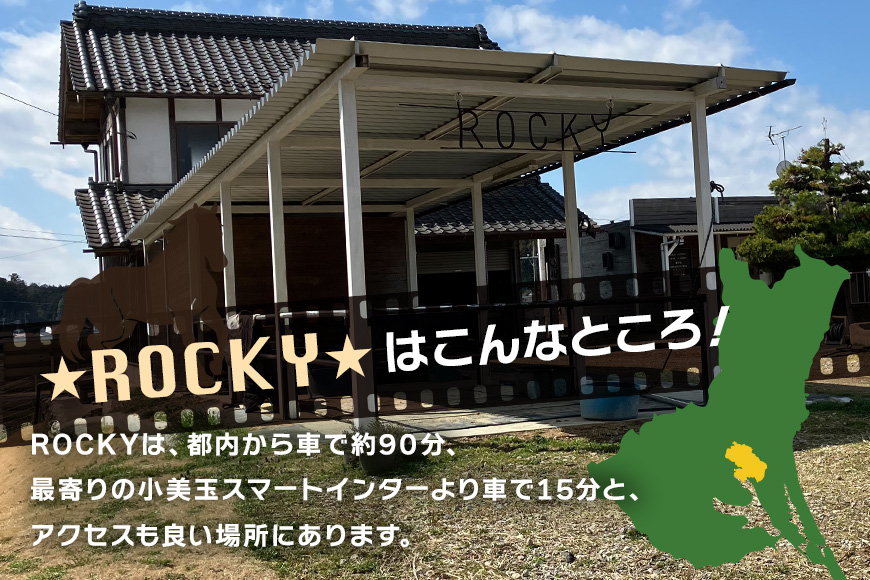 ★ROCKY★ 引馬体験チケット 10分 体験 チケット 券 引馬 馬 うま ウマ 子供 大人 初心者 経験者 歓迎 92-A