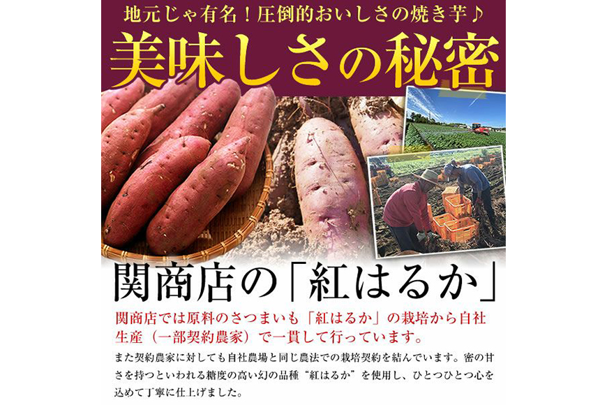 関商店 冷凍焼き芋 紅はるか 2kg（500g×4袋） 国産 茨城県産 砂糖不使用 冷凍 焼き芋 やきいも 焼芋 焼きいも べにはるか ベニハルカ 甘い 柔らかい 安心 安全 品質 食味 おやつ 62-J