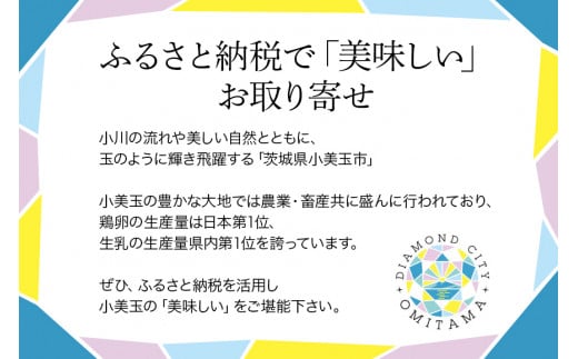 小美玉クッキー8種セット 詰め合わせ ラングリー チョコチップ いちごのタルト コンフェッティ ショートブレッド マカデミア マカダミアナッツ ギフト 個包装 お菓子 おやつ チョコレート いちご 内祝い 記念日 パーティー 28-A