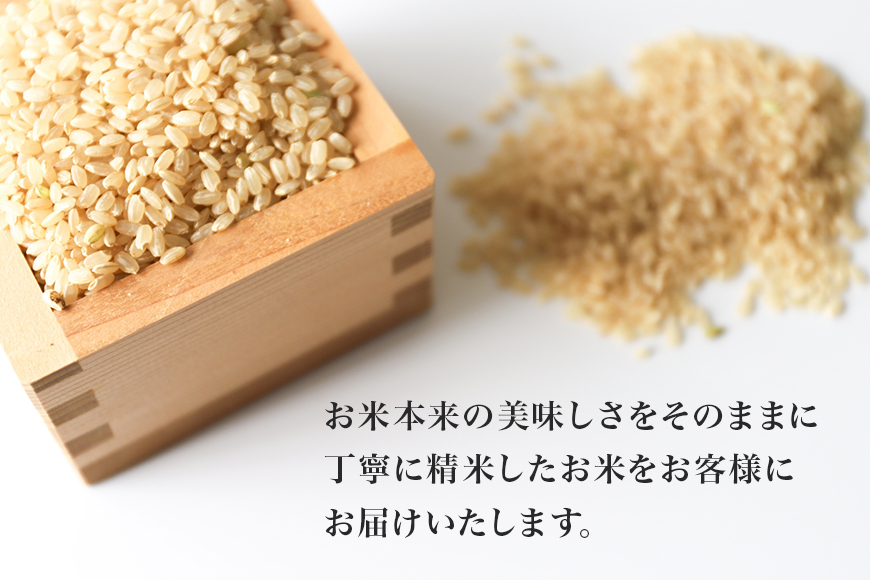 【令和6年産】 小美玉産コシヒカリ・ミルキークイーン食べ比べセット 計10kg（各5kg）10キロ 5キロ こしひかり ミルキークイーン 食べくらべ お米 白米 茨城県 小美玉市 17-L