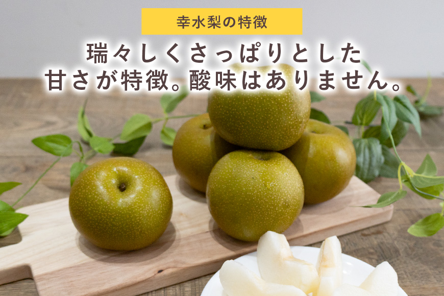 【数量限定 / 夏季限定】梨（幸水） 約5kg なし ナシ 日本梨 こうすい コウスイ 17-C 【8月中旬～下旬発送予定】