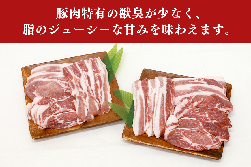 ブランド豚「ばんぶぅ」化粧箱入りギフト 2種（鍋用、焼肉用）計1.5kg 冷凍便 約1.5キロ 大容量 たっぷり 豚肉 豚ロース 豚肩ロース 豚バラ肉 豚ばら肉 スライス うす切り 薄切り 焼き肉 お鍋 ぶた肉 ブタ肉 国産 茨城県産 プレゼント 贈り物 贈答品 お祝い 42-AZ