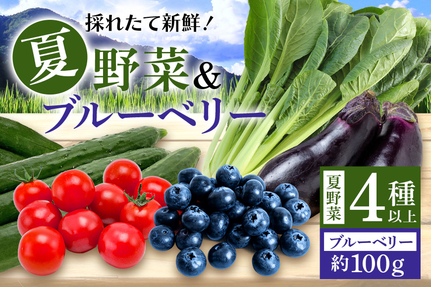 小美玉産ブルーベリー＆野菜4種類以上セット(夏) ブルーベリー 夏野菜 茨城県 小美玉市 93-F