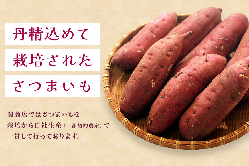 関商店 干し芋平干し 紅はるか 1.1kg（220g×5袋） 62-F