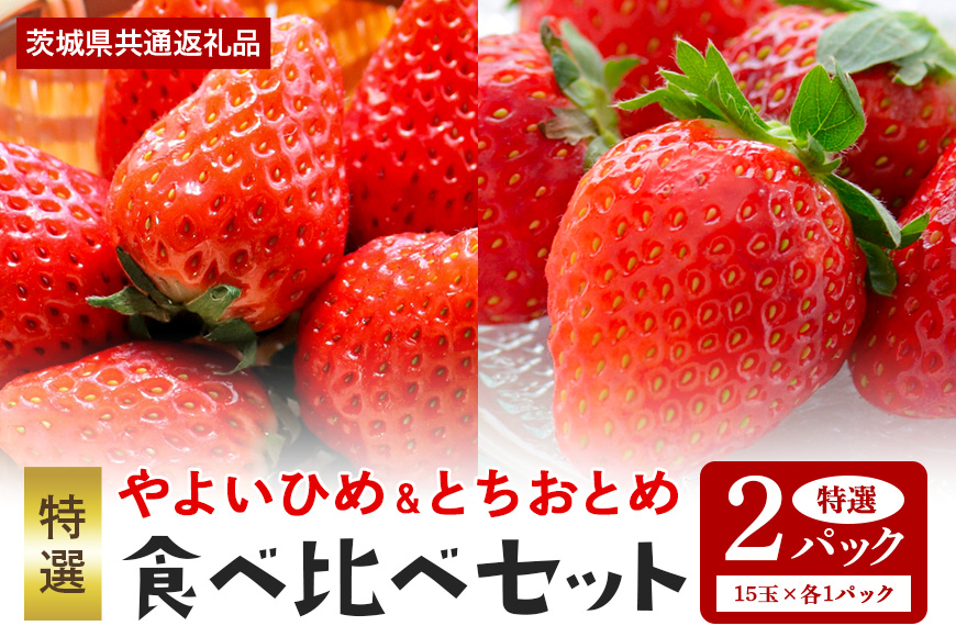 【数量限定・先行予約】やよいひめ・とちおとめ 特選15玉 各1パック いちご イチゴ 苺 フルーツ 果物 くだもの 国産 茨城県産 高糖度 甘い ＜2026年1月中旬～3月上旬発送予定＞ （茨城県共通返礼品 石岡市） 71-H