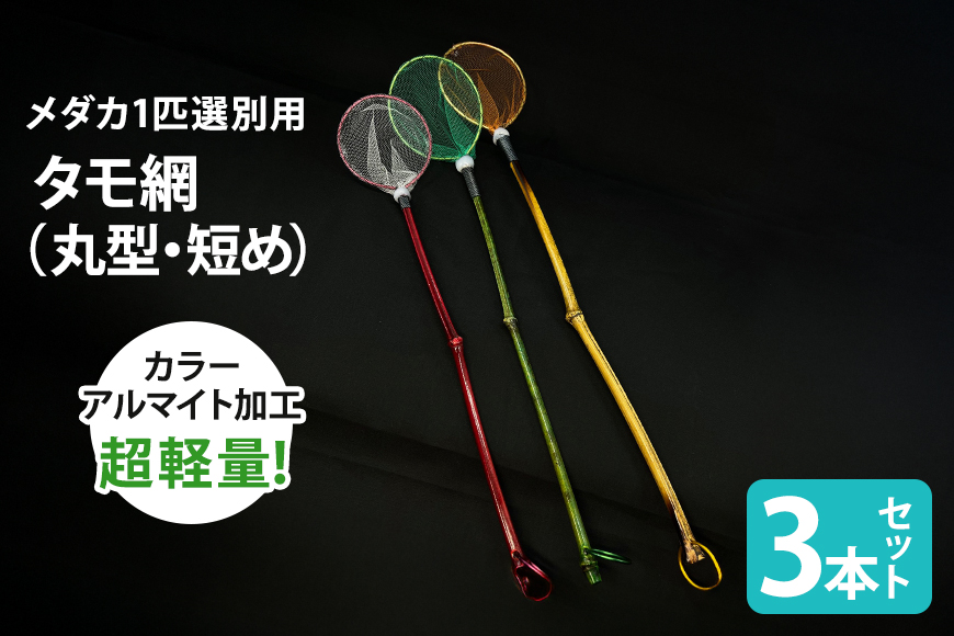 メダカ1匹選別用 タモ網（丸型・短め） 3本セット 83-G