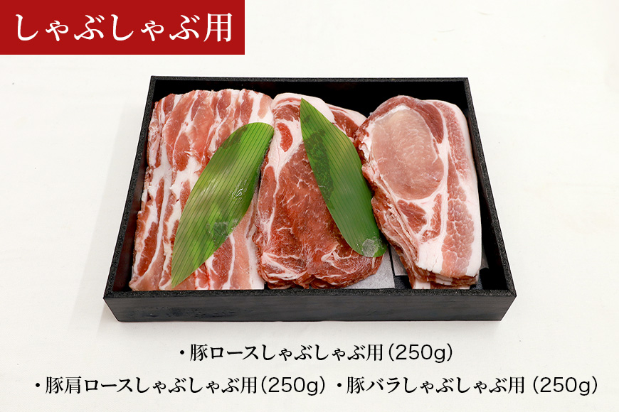 ブランド豚「ばんぶぅ」化粧箱入りギフト 2種（しゃぶしゃぶ用、焼肉用）計1.5kg 冷凍便 1.5キロ 大容量 たっぷり 豚肉 豚ロース 豚肩ロース 豚バラ肉 豚ばら肉 スライス うす切り 薄切り 豚しゃぶ 焼き肉 ぶた肉 ブタ肉 国産 茨城県産 プレゼント 贈り物 贈答品 お祝い 42-AX