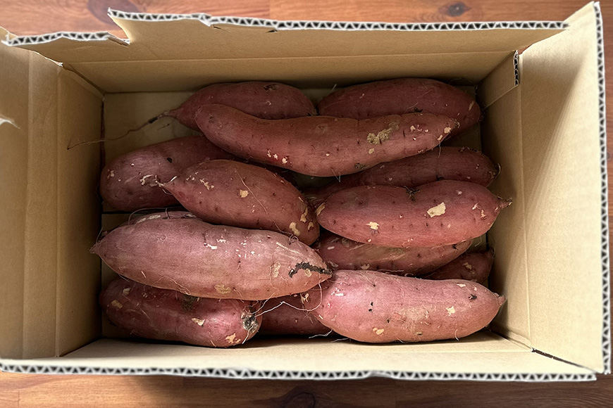 ãã€ãŸãã çŽ
ã¯ãã èŠæ Œå€å 5kg ãµããã€ã¢ ãã€ãŸè çè ã¹ã«ã¯ãã èš³ãã åœç£ èšåçç£ ç®± çŽé ãããã çŒãã çŒãè çŒè ãã〠ã¹ã€ãŒãäœã ã±ãŒãäœã ã¹ã€ãŒãããã 倧åŠè 倧åŠãã 12-AW