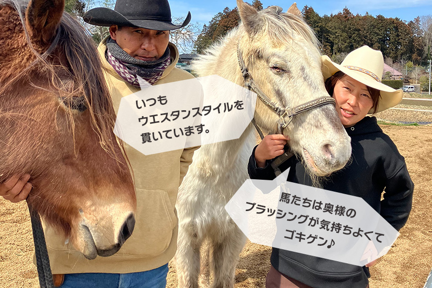 ★ROCKY★ 引馬体験チケット 10分 体験 チケット 券 引馬 馬 うま ウマ 子供 大人 初心者 経験者 歓迎 92-A