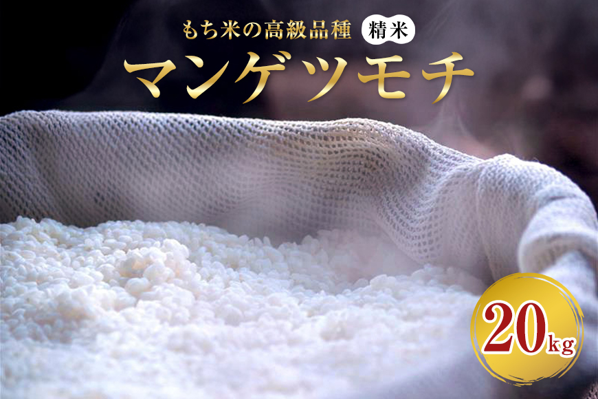 マンゲツモチ 精米 20kg もち米の高級品種 お米 精米 もち米 白米 ごはん ご飯 もち 餅 モチ 単一原料米 茨城県産 高級 高品質 69-V