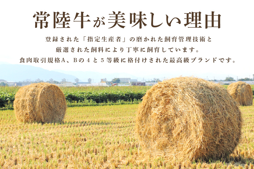 常陸牛A-5サーロインステーキ用 600g（200g×3） A5ランク A5 和牛 牛肉 3人前 【茨城県共通返礼品】 58-B