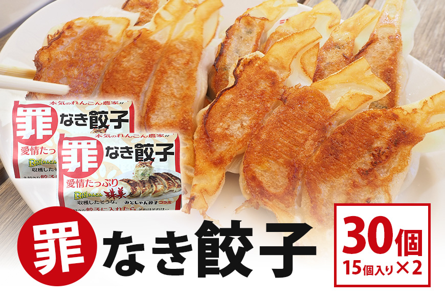 【最高級Bigれんこん珠美使用】冷凍罪なき餃子(20g×15個入)2パックセット 77-E