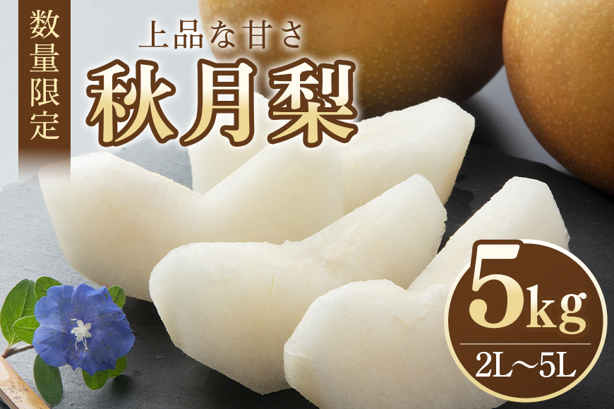 【数量限定・先行予約】 梨 秋月 5kg 2L～5L 9～16玉 なし ナシ あきづき アキヅキ 果物 フルーツ 国産 【9月15日以降発送予定】 70-D
