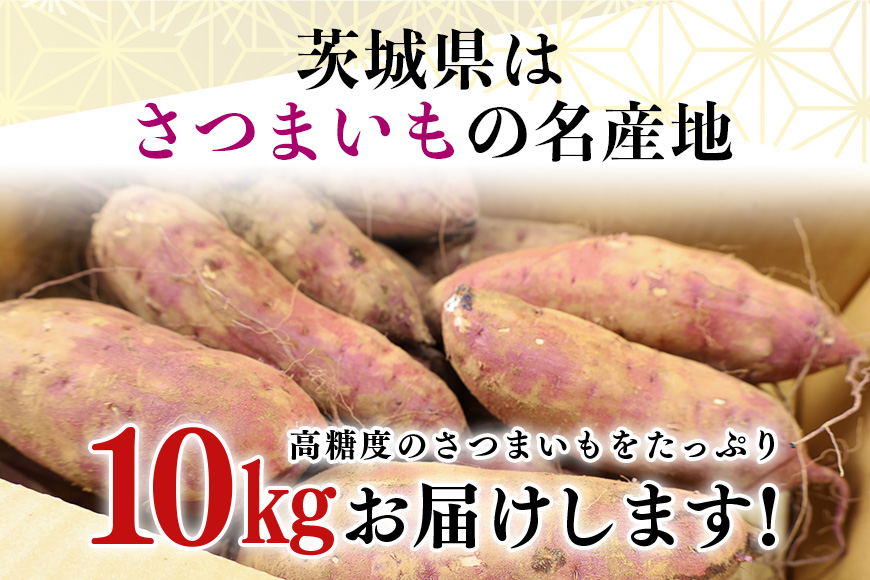 干し芋屋のさつまいも（紅はるか） 10kg サツマイモ さつま芋 生芋 べにはるか ベニハルカ 国産 茨城県産 箱 直送 やきいも 焼いも 焼き芋 焼芋 おやつ スイーツ作り ケーキ作り スイートポテト 大学芋 大学いも 10キロ 12-S