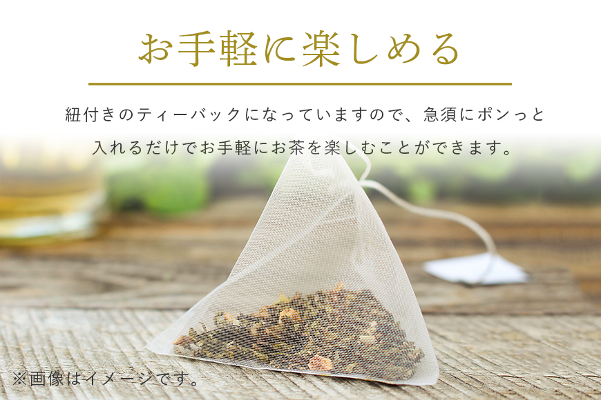 猿島茶ティーバッグセット 6種【茨城県共通返礼品】 47-AD