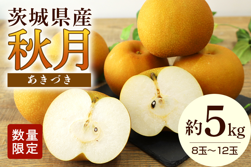 【数量限定 / 夏季限定】梨（秋月）約5kg 梨 なし ナシ 日本梨 あきづき アキヅキ 17-X 【9月上旬～中旬発送予定】