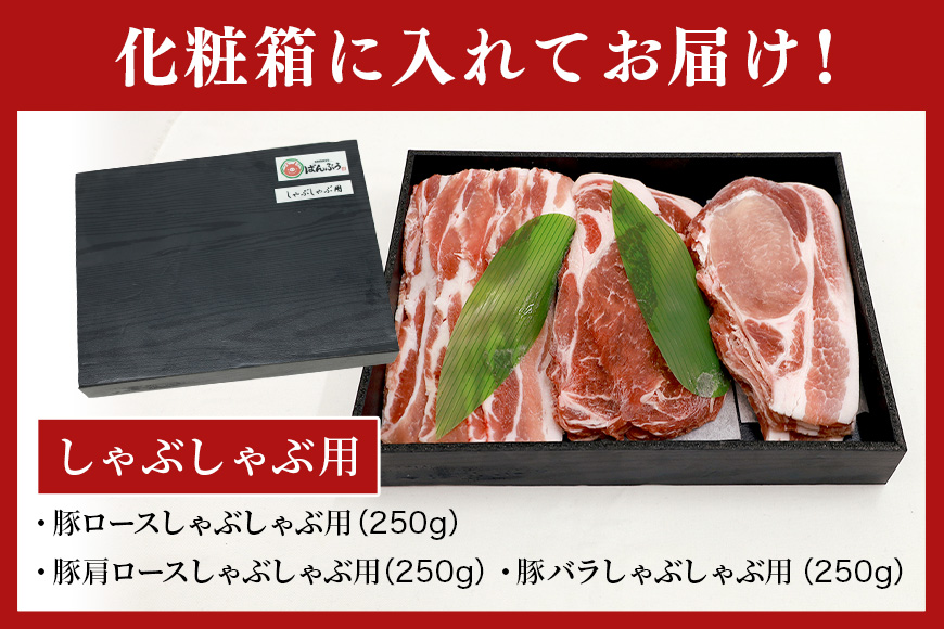 ブランド豚「ばんぶぅ」化粧箱入りギフト しゃぶしゃぶ用 750g 冷凍便 750グラム 豚肉 豚ロース 豚肩ロース 豚バラ肉 豚ばら肉 スライス うす切り 薄切り 豚しゃぶ ぶた肉 ブタ肉 国産 茨城県産 プレゼント 贈り物 贈答品 お祝い 42-BA