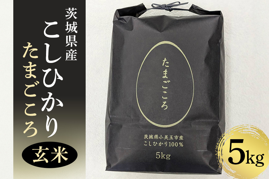 【 数量限定 】小美玉産コシヒカリ「たまごころ」玄米5kg コシヒカリ こしひかり 米 お米 玄米 5kg ごはん ご飯 単一原料米 循環農法 エコ 天然水 特Aクラス 減農薬 美容 健康 茨城県産 8-X