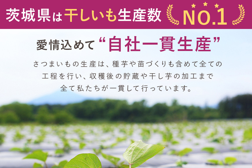 干し芋 べにはるか 切り落とし 1kg 500g×2袋 スイーツ ダイエット 小分け ギフト プレゼント 国産  茨城県産 紅はるか べにはるか さつまいも サツマイモ お芋 おいも おやつ お菓子 和菓子 和スイーツ お取り寄せ ほしいも ほし芋 12-AH