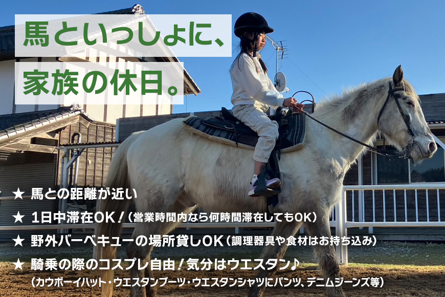 ★ROCKY★ 引馬体験チケット 10分 体験 チケット 券 引馬 馬 うま ウマ 子供 大人 初心者 経験者 歓迎 92-A